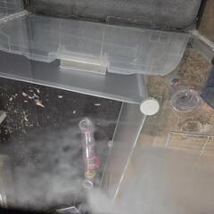水槽 難ありの画像