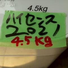 ★2021年製ハイセンス4.5kg全自動洗濯機c★の画像