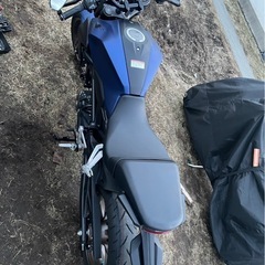 CB250R
の画像