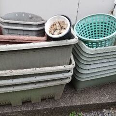 期間限定⭐️早い者勝ち⭐️好きなだけどうぞ(*^^*)の画像
