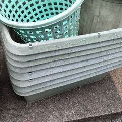 期間限定⭐️早い者勝ち⭐️好きなだけどうぞ(*^^*)の画像