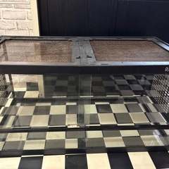 爬虫類ゲージの画像