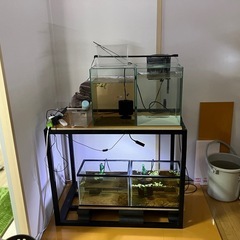 熱帯魚水槽セットの画像