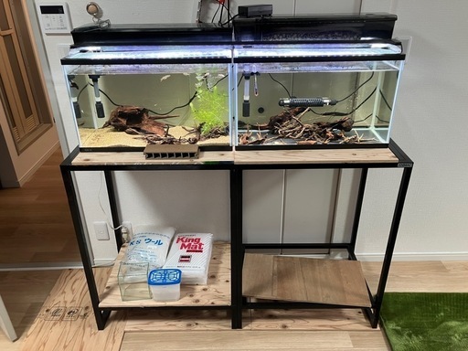 熱帯魚水槽セット24日までの引取値下げ