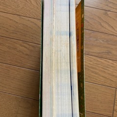 3DS攻略本とびだせどうぶつの森の画像