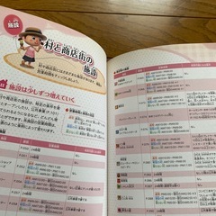 3DS攻略本とびだせどうぶつの森の画像