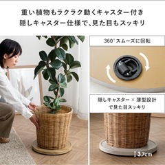 プランタートレーお譲りしますの画像