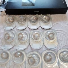 レヴィアワンデービアンカ＋メルティベアーの画像