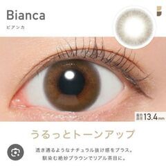 レヴィアワンデービアンカ＋メルティベアーの画像