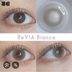 レヴィアワンデービアンカ＋メルティベアーの画像