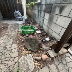 石や樹木の画像