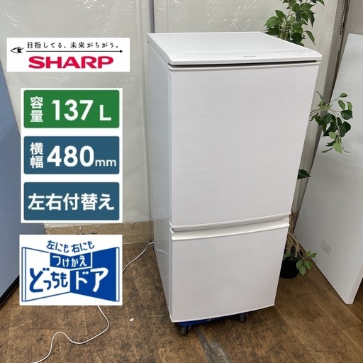 R307 ☀️ SHARP 2ドア冷蔵庫（137L / つけかえドア）17年製 SJ-D14C ⭐動作確認済⭐クリーニング済