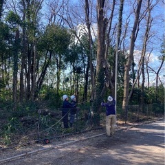 働き方自由！週一日からでもOK！ご一緒に働いてくれる方を募集しています！の画像