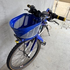 ブリヂストンmff2.0 22インチ自転車 
の画像