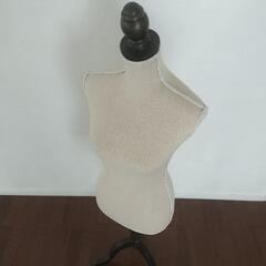 トルソー　レディースの画像
