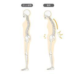 猫背をすぐに確実に改善したい人募集！！ - その他