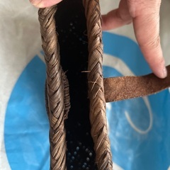 葡萄籠国産の画像