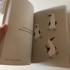 韓国語の絵本の画像