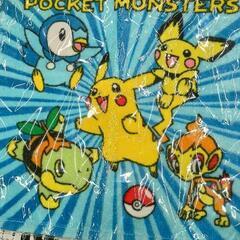 0709-145 ポケモン　タオルの画像