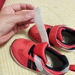 １５センチ　スニーカーの画像