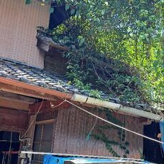 瓦屋根草木 - 諫早市