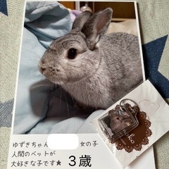 　可愛いがってくださる方募集！