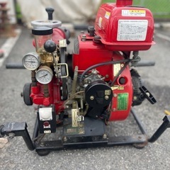 ふたばん様確認用 Amazon | SmartSign つま先識別タグ 検死官と葬儀用 5.25インチ x 2.65