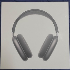 Air Pods Max グレー