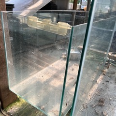水槽の画像