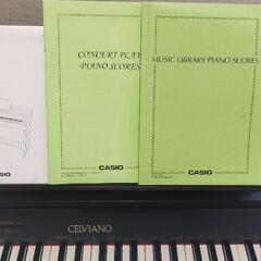 【CASIO】セルヴィアーノの画像