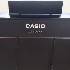【CASIO】セルヴィアーノの画像