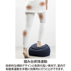 エクササイズ用品 ビーチ ステッパーの画像