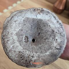 お値下げ中！昭和レトロ 中古品 骨董品 九谷焼 観音像 欠けありの画像