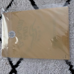 BUMP OF CHICKEN ミニクリアファイル　の画像