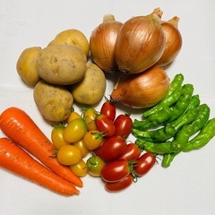【夏野菜セット】の画像