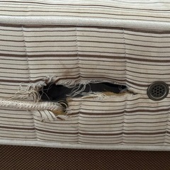 📌 0円で差し上げます（引き取り限定）の画像