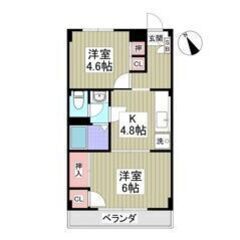 💛🧡フリーレント1ヶ月付き🧡💛敷礼ゼロ✨コンビニ徒歩1分🌈北戸田...