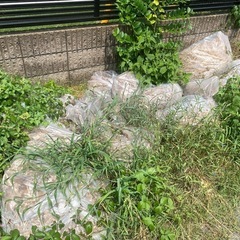 草むしり − 茨城県