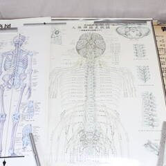 人体神経系統図 パネル３枚と整体幕 人体神経系統図、自律神経系統図、幕セット カイロ