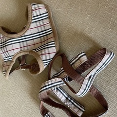 小型犬服の画像