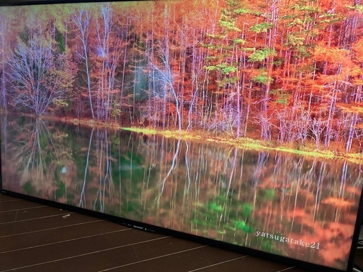 在庫整理〜格安〜早い物勝ち！SHARP シャープ50インチ LC-50W30