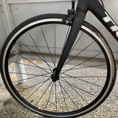 トレックエモンダ2019年モデルの画像
