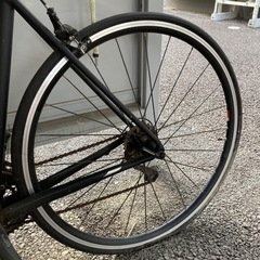 トレックエモンダ2019年モデルの画像