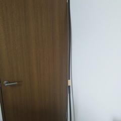 弓道の弓