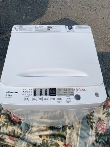 ハイセンス　洗濯機　24年製　5.5kg