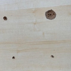 LOWYA 回転式　本棚の画像