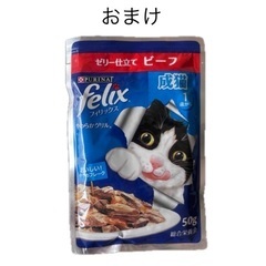 【新品未開封/郵送可】ピュリナワン デンタライフ チキン 51g × 5袋＋おまけ付きの画像