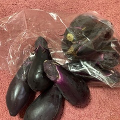 夏野菜150円から　新鮮の画像