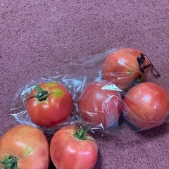 夏野菜150円から　新鮮の画像
