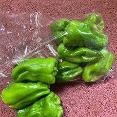 夏野菜　新鮮　甘い　美味しい　150円から